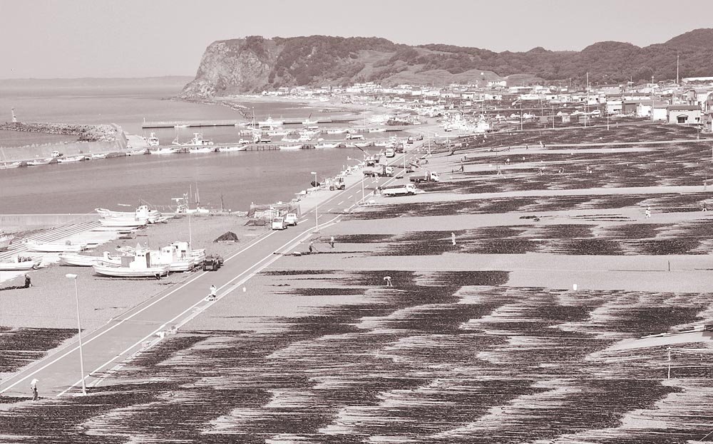 昆布のある風景(北海道)